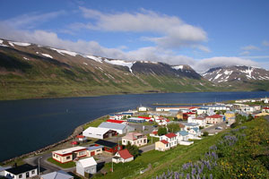 Огромно парче от Исландия ще бъде продадено за 100 млн. долара